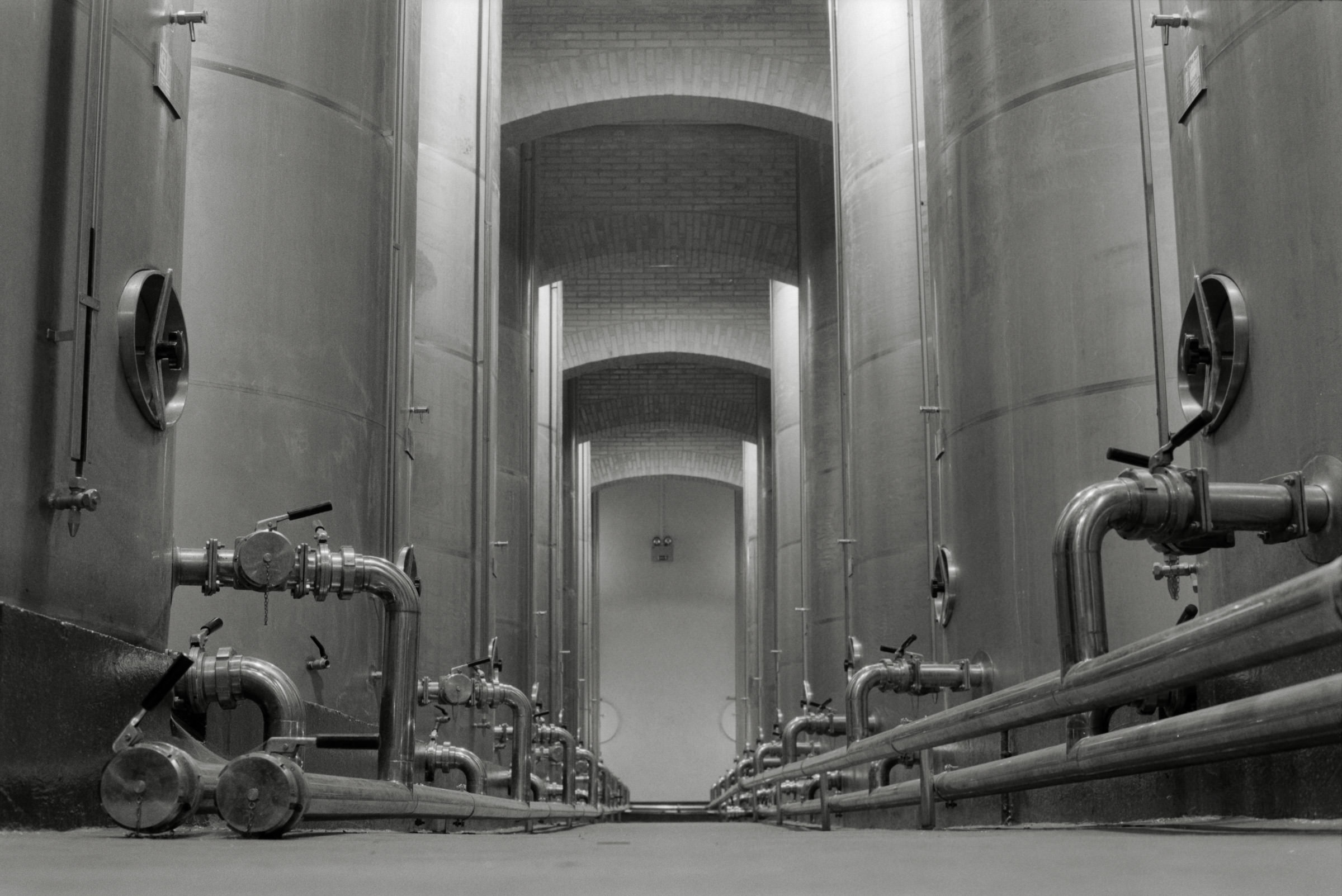 AHP F1995 05 007 sc240826 img19 NLP